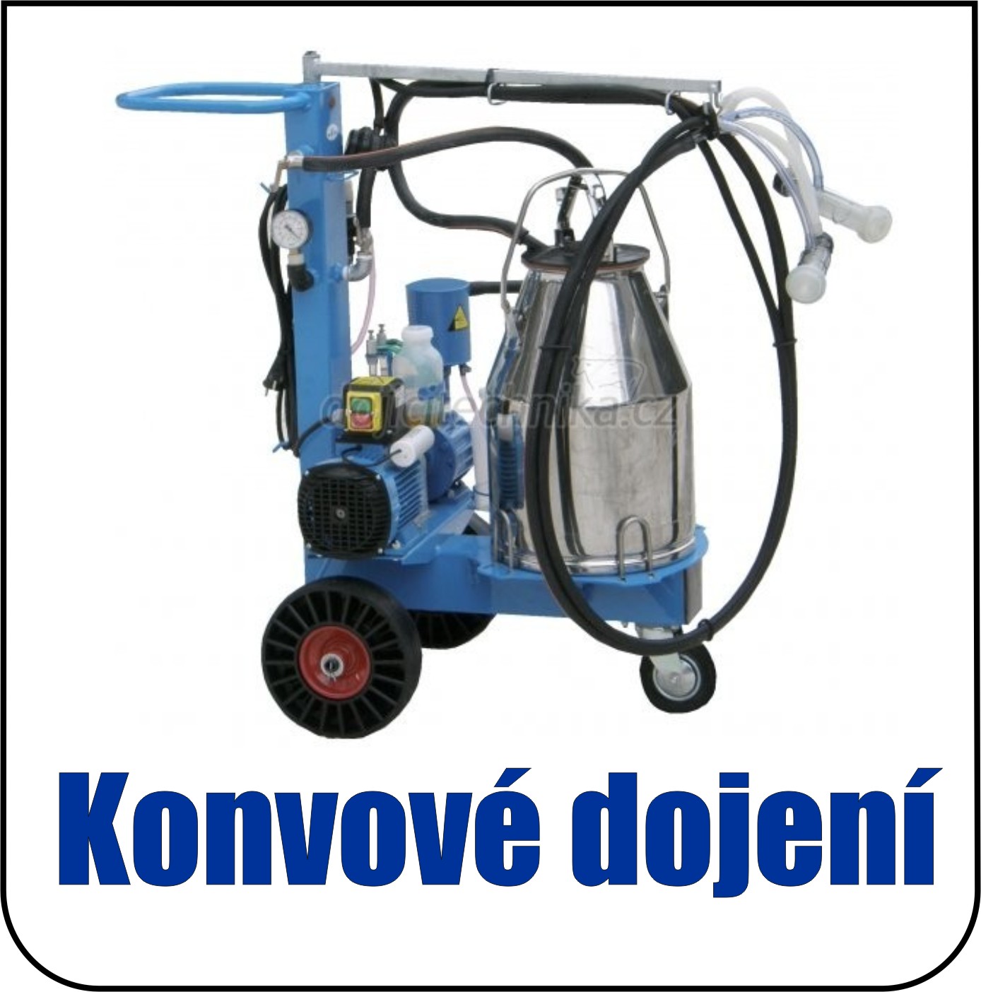 Konvové dojení
